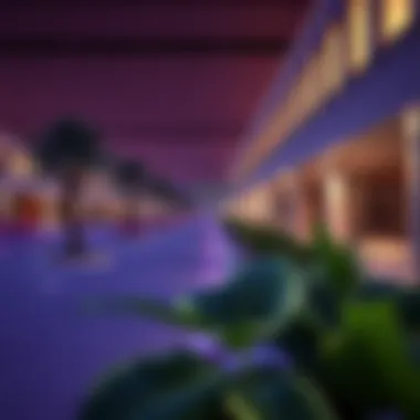 Accessible pathways and transport options