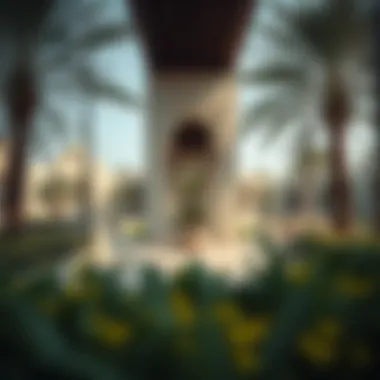 Architectural elements harmonizing with natural landscapes in Al Mahatta Park