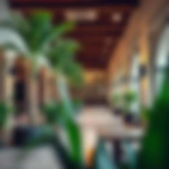 Vibrant community spaces in Al Wasl Village