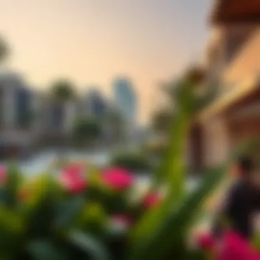 Vibrant Community Life in Centro Bur Dubai Vibrant community life in Centro Bur Dubai with lush parks and recreational areas