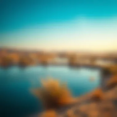 Al Qudra Lakes: Nature's Oasis in the Desert The serene beauty of the Al Qudra Lakes surrounded by desert landscape