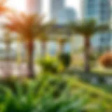 Lush green park in the heart of Dubai showcasing modern landscaping