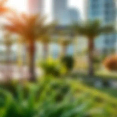 Lush green park in the heart of Dubai showcasing modern landscaping