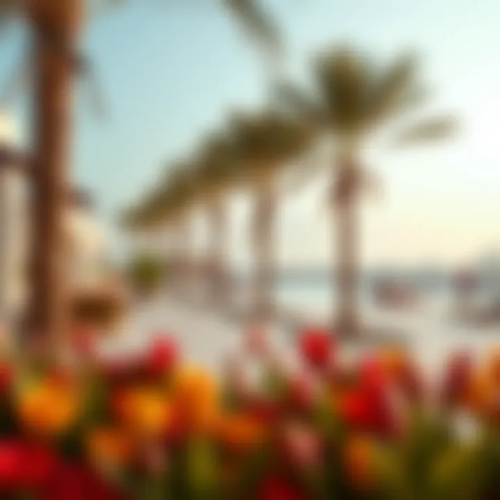 Community Amenities in Damac Lagoons Community amenities and recreational areas in Damac Lagoons