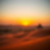 Breathtaking view of the Dubai desert at sunset