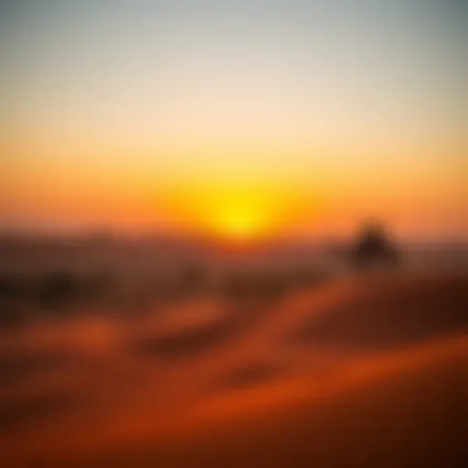 Breathtaking view of the Dubai desert at sunset