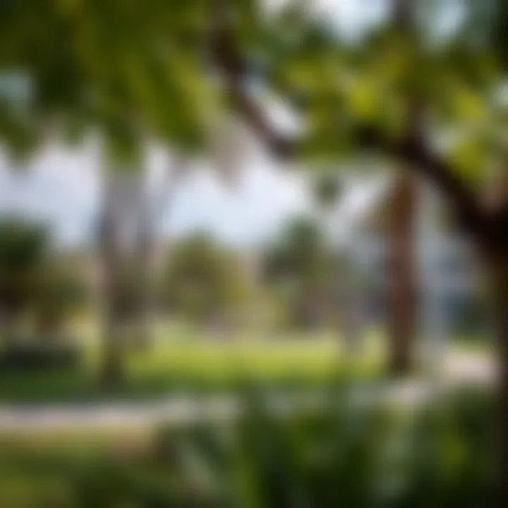 Community park in Executive Heights