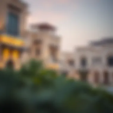 Residential properties showcasing various architectural styles in Remraam