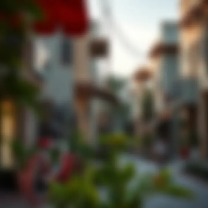 Vibrant neighborhood scene in Al Barsha