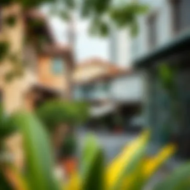 Vibrant neighborhood scene in International City