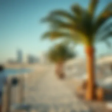 Stunning beachfront along Sharjah Mamzar, highlighting leisure and recreational activities