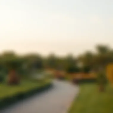 A lush green park in Sharjah Mamzar, representing outdoor lifestyle and community engagement