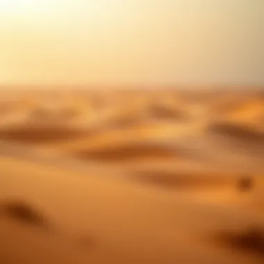 The tranquil beauty of the Liwa Desert landscape