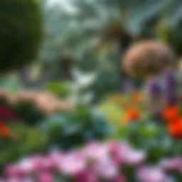 Lush landscape of Healy Garden showcasing diverse flora