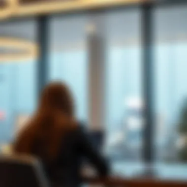 User Accessing Visa Information Online User accessing visa information online