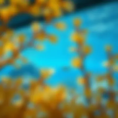 A vibrant underwater scene representing Dubai's rich marine biodiversity