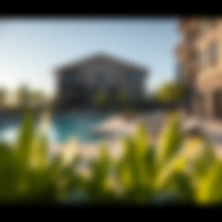 Community amenities at Lime Gardens including a pool and fitness center