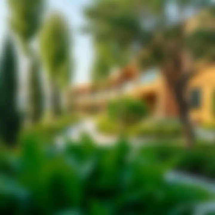 Sustainable Living: Green Spaces by Meraas Lush green spaces integrated into Meraas developments