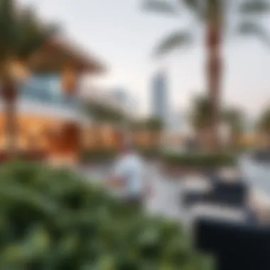 Luxurious lifestyle amenities and green spaces in Mohammad Bin Zayed City