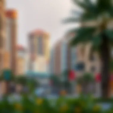 Vibrant streets lined with residential and commercial properties in Mohammad Bin Zayed City