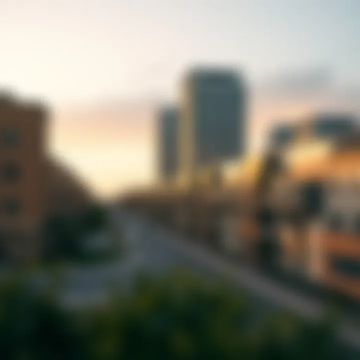 Development projects in emerging neighborhoods