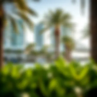 Seasonal Changes in Palm Jumeirah Seasonal changes in Palm Jumeirah reflected in vibrant greenery