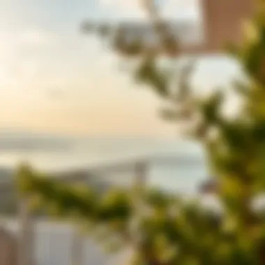 Scenic view from a villa balcony