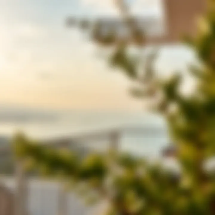 Scenic view from a villa balcony